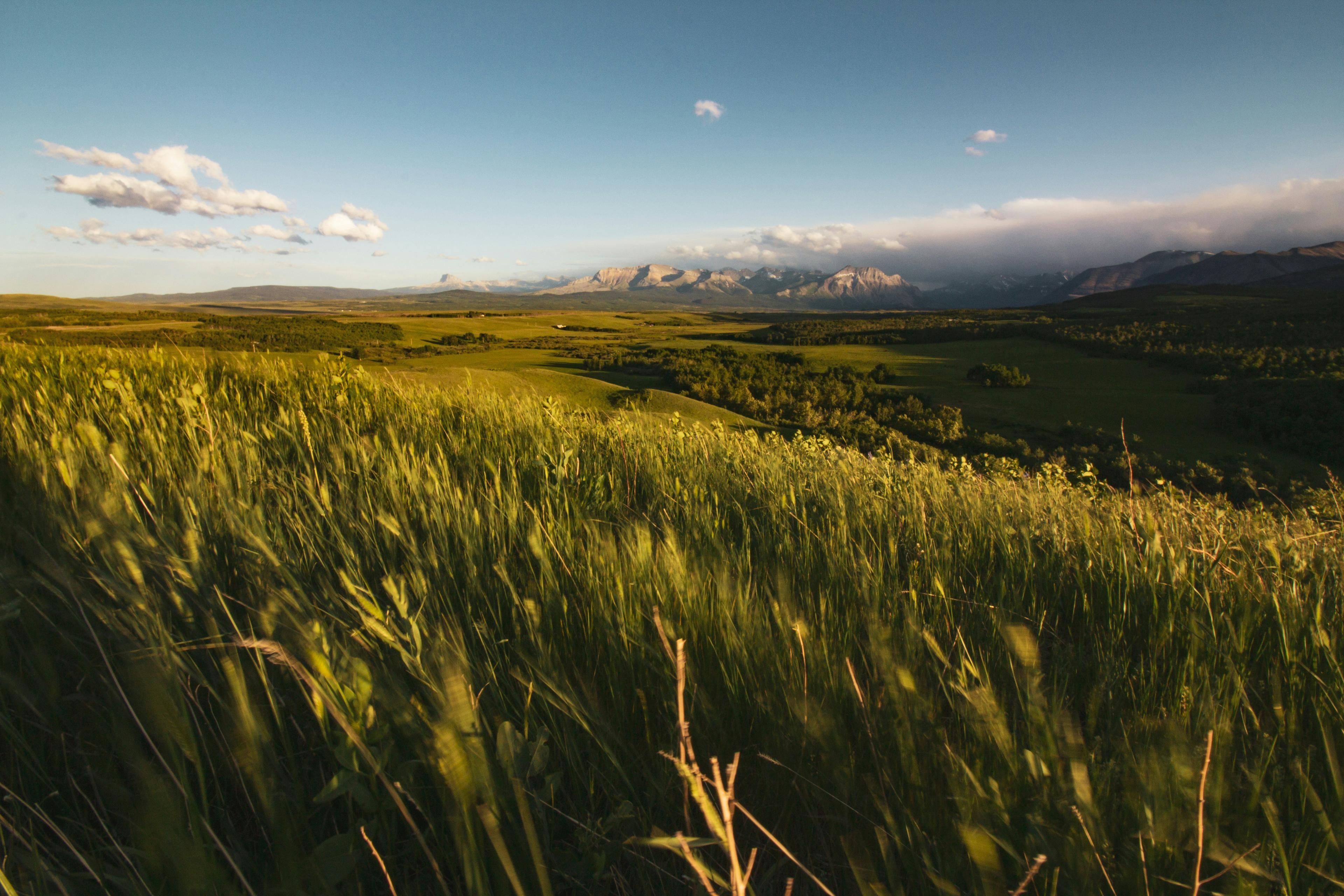 Topographic brand visual representing responsible land management